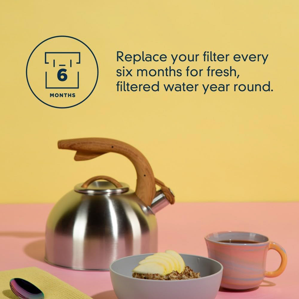 Everydrop water filter A, EDRARXD1 Refrigerator water filter - EDRARXD1B, Filter A