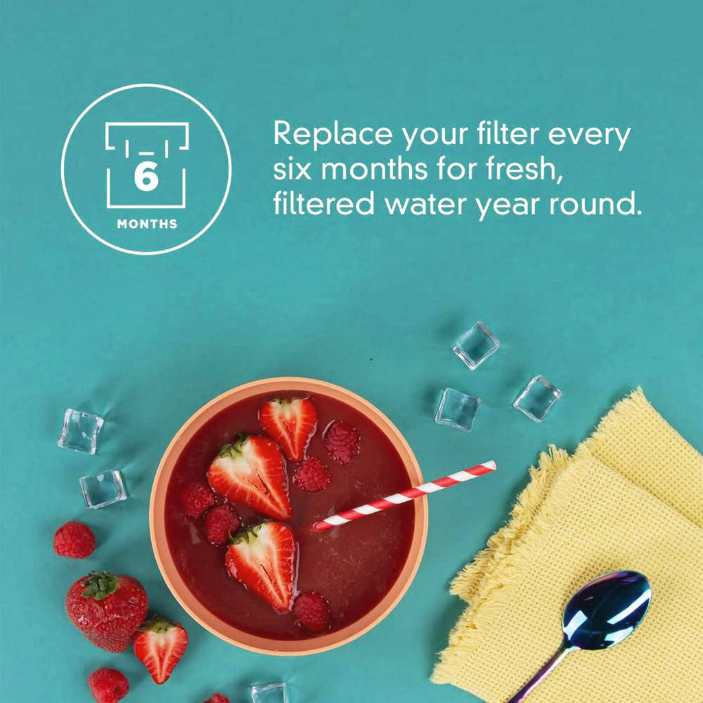F2WC9I1 ICE2 water filter, Ice2 F2WC9I1 Ice Maker Filter