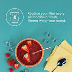 F2WC9I1 ICE2 water filter, Ice2 F2WC9I1 Ice Maker Filter